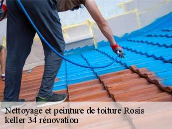 Nettoyage et peinture de toiture  rosis-34610 keller 34 rénovation